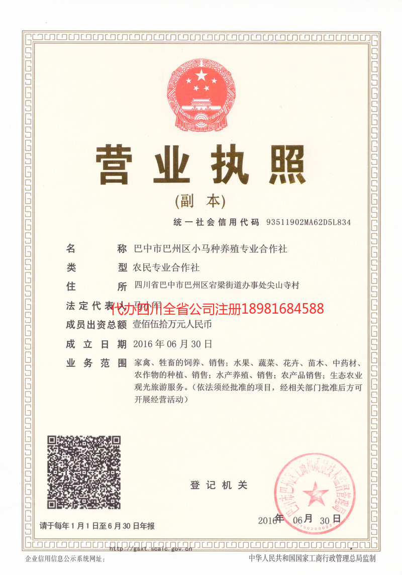 辛集辛集小马种养殖专业合作社